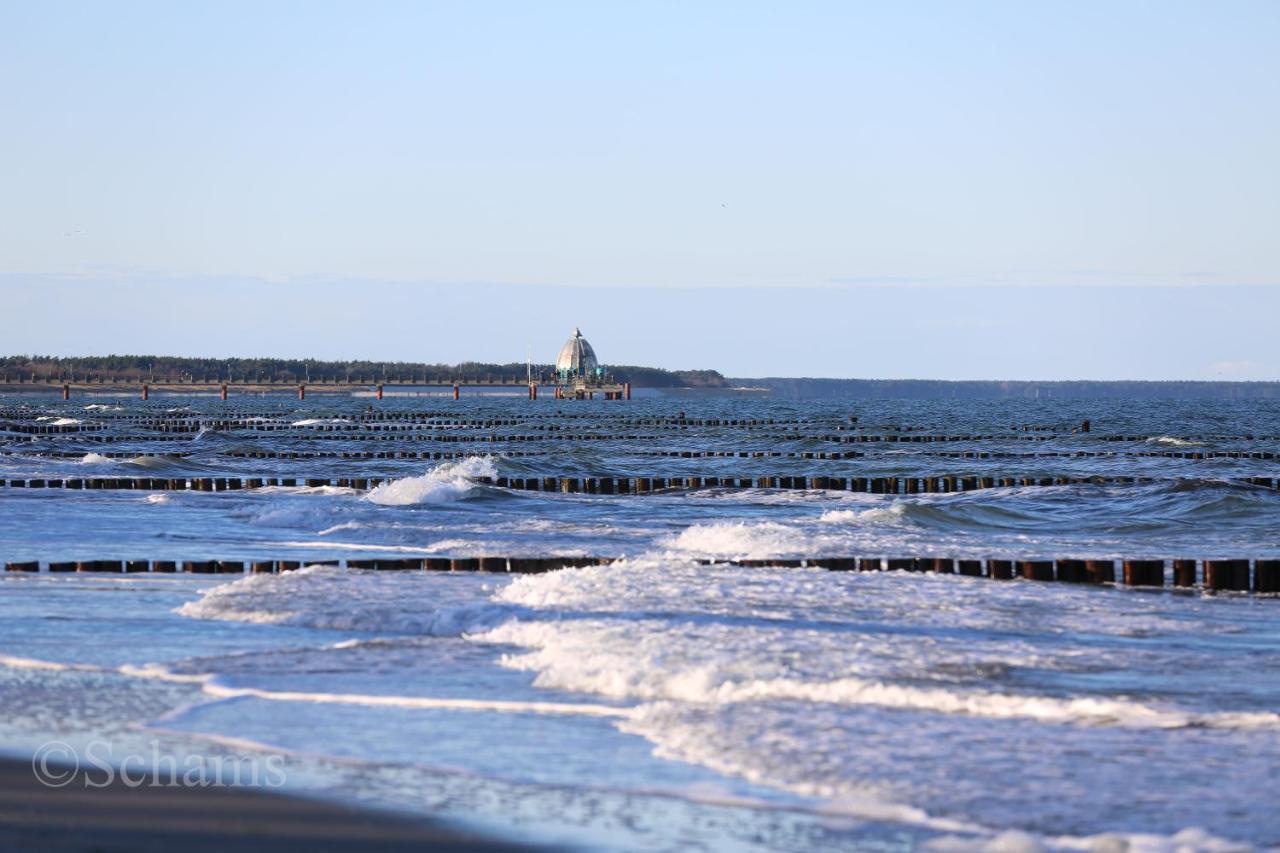 Ostseelagune Zingst, Exklusive Dhh, Strandnah, Sauna, Kamin, 3 Sz, 2 Baeder, Glasfaser, Haustierfrei, Garten Mit Suedterrasse, E-Ladesaeule, 2 Stellplaetze, Strandkorb, Fahrradschuppen, Waschmaschine, Trockner, Nichtraucher Bagian luar foto