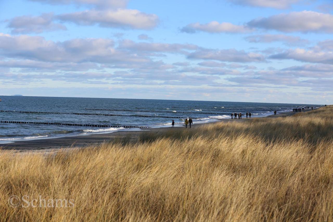 Ostseelagune Zingst, Exklusive Dhh, Strandnah, Sauna, Kamin, 3 Sz, 2 Baeder, Glasfaser, Haustierfrei, Garten Mit Suedterrasse, E-Ladesaeule, 2 Stellplaetze, Strandkorb, Fahrradschuppen, Waschmaschine, Trockner, Nichtraucher Bagian luar foto