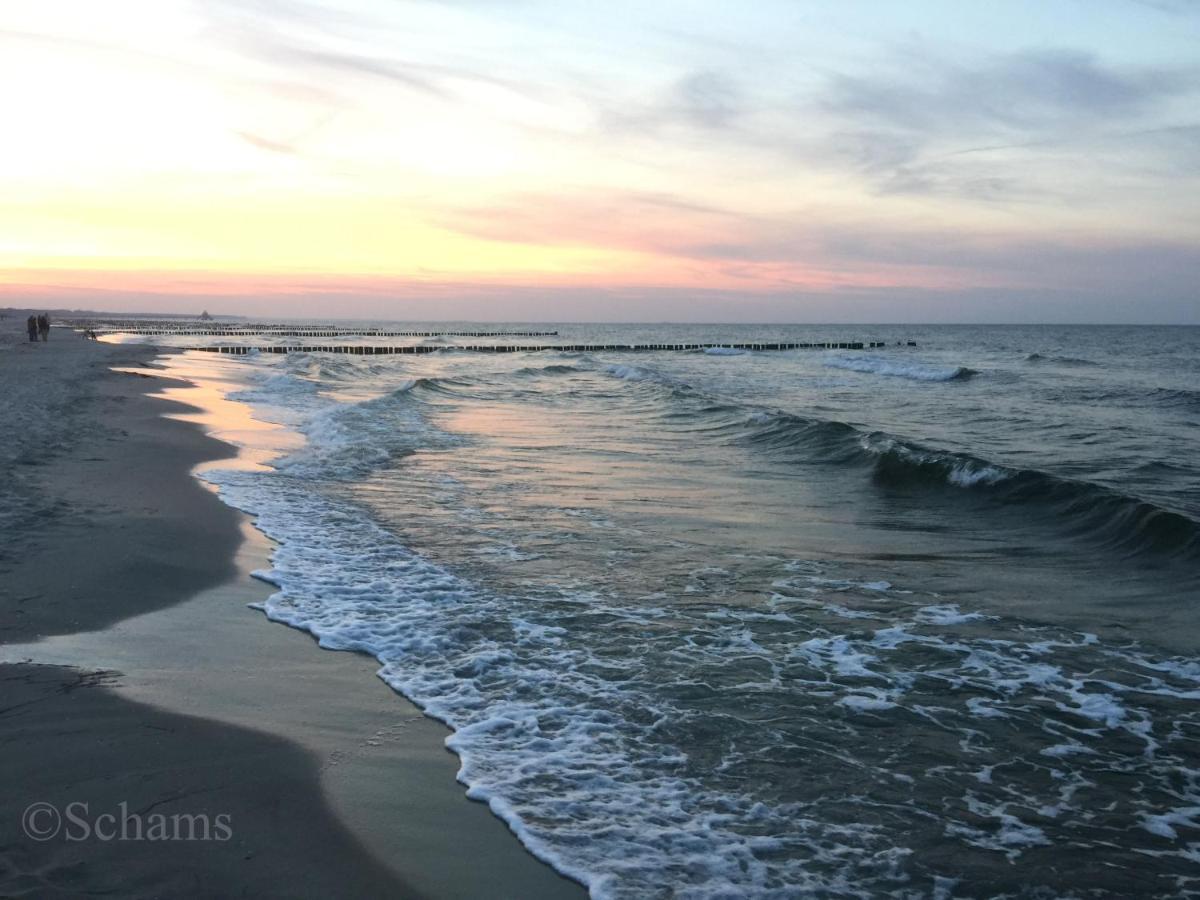 Ostseelagune Zingst, Exklusive Dhh, Strandnah, Sauna, Kamin, 3 Sz, 2 Baeder, Glasfaser, Haustierfrei, Garten Mit Suedterrasse, E-Ladesaeule, 2 Stellplaetze, Strandkorb, Fahrradschuppen, Waschmaschine, Trockner, Nichtraucher Bagian luar foto